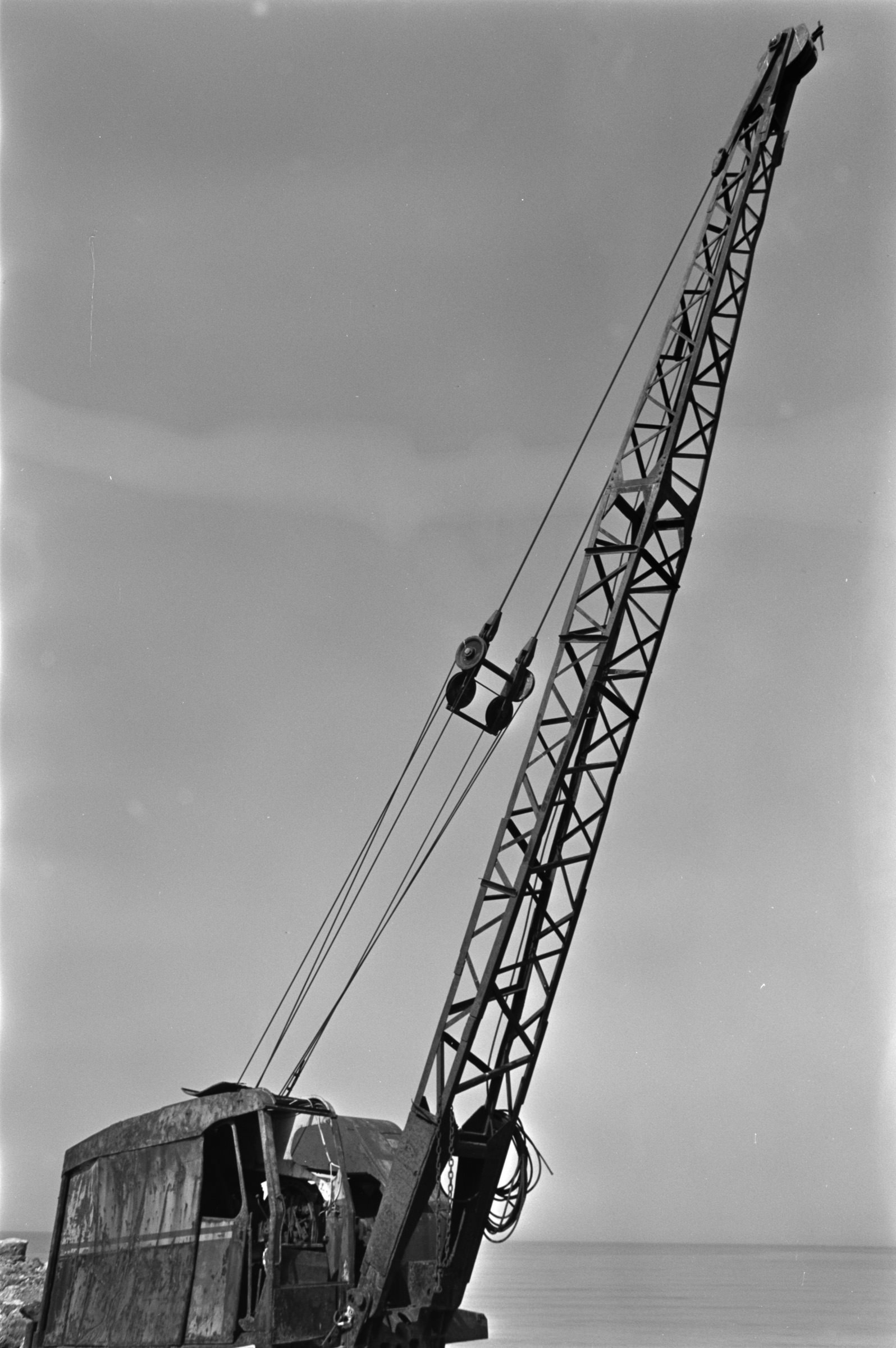 AHP F1991 09 002 sc240801 img28 NLP